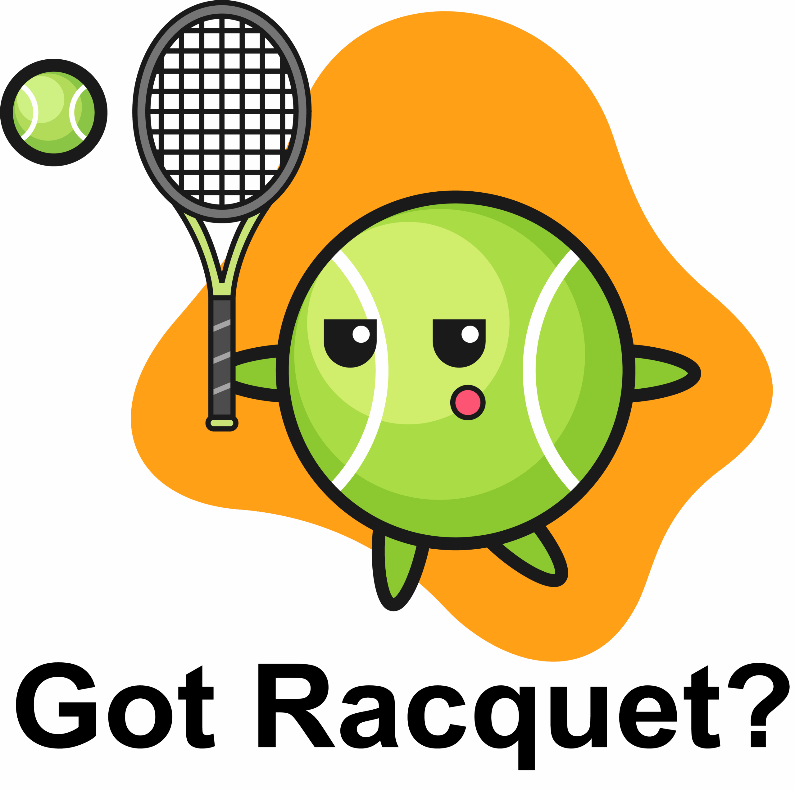 Got Racquet?